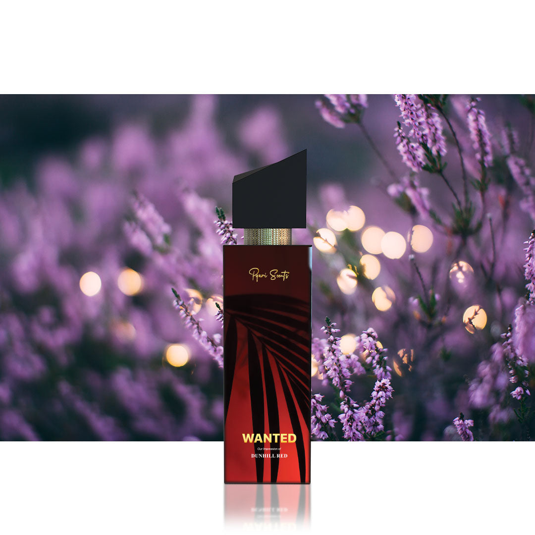 Best Scents for Men